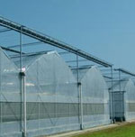 Greenhouse Film